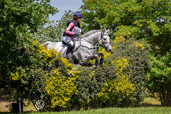 The Childeric Saddles Little Downham (1)