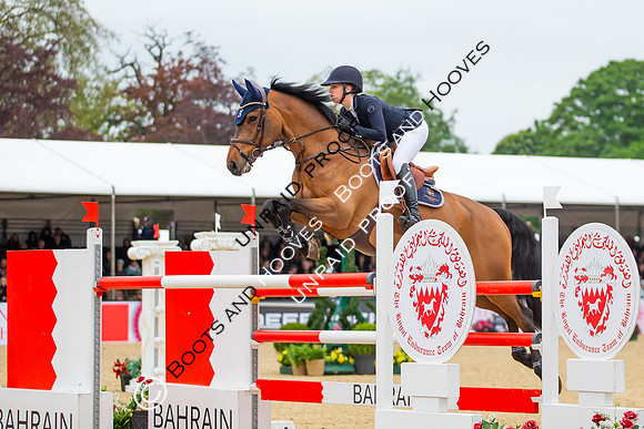 The Royal Windsor Horse Show