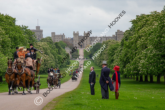 The Royal Windsor Horse Show