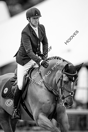 The Royal Windsor Horse Show