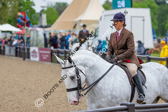 The Royal Windsor Horse Show