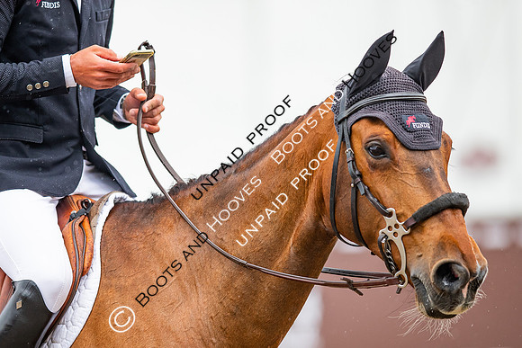 The Royal Windsor Horse Show