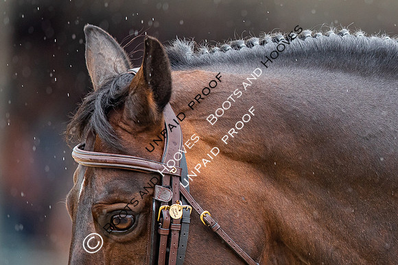 The Royal Windsor Horse Show