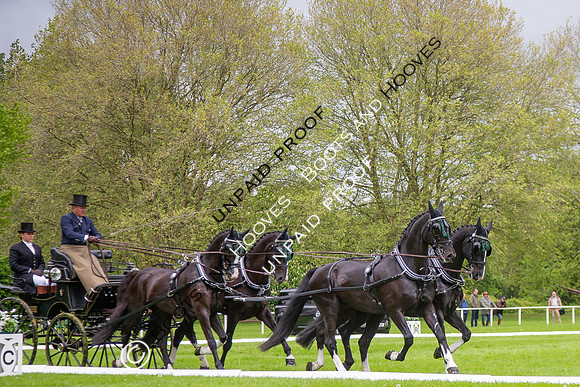 The Royal Windsor Horse Show