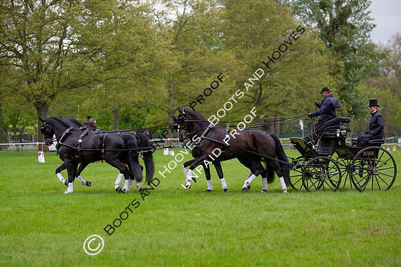 The Royal Windsor Horse Show
