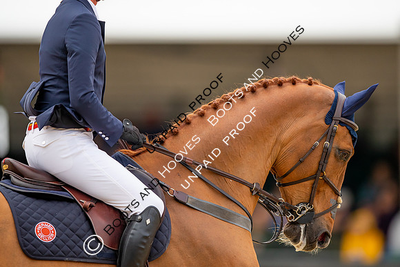 The Royal Windsor Horse Show