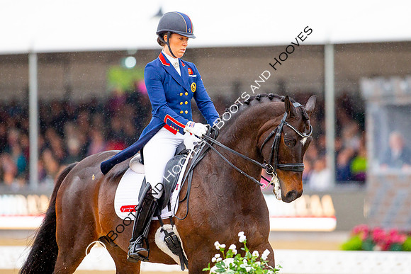 Royal Windsor Horse Show
