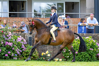 The Agria Royal International Horse Show