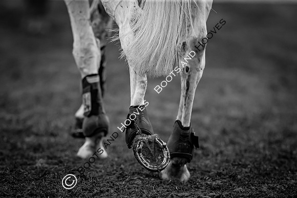 Badminton Horse Trials presented by Mars Equestrian