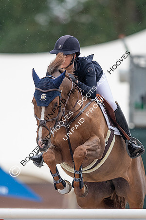 The Royal Windsor Horse Show