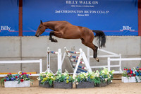 The Billy Stud Auction