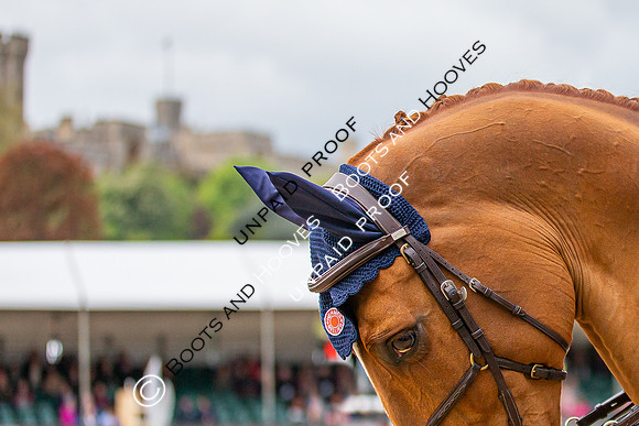 The Royal Windsor Horse Show