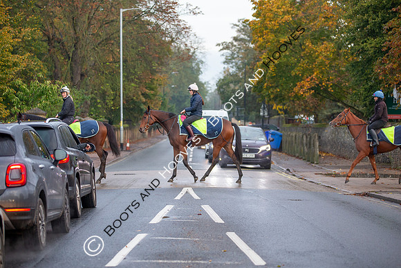 Newmarket