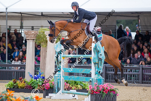 The Royal Windsor Horse Show