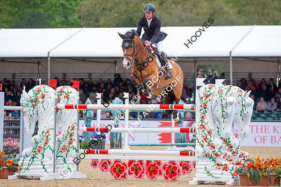 The Royal Windsor Horse Show