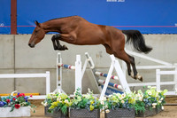 The Billy Stud Auction