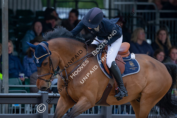 The Royal Windsor Horse Show