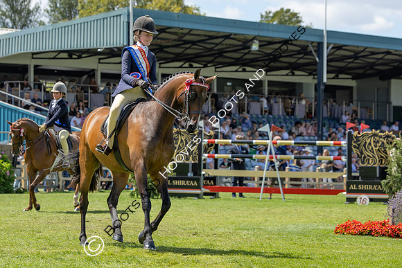 The Agria Royal International Horse Show