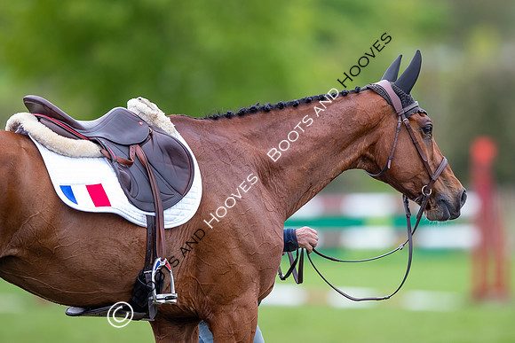 Badminton Horse Trials presented by Mars Equestrian