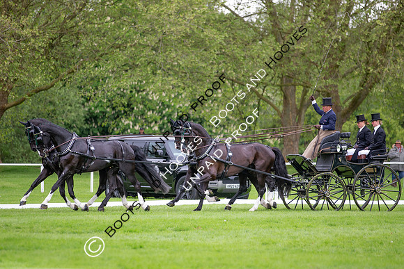 The Royal Windsor Horse Show