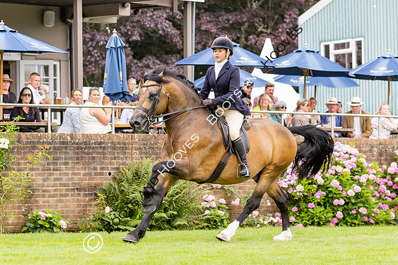 The Agria Royal International Horse Show