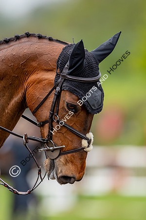 Badminton Horse Trials presented by Mars Equestrian