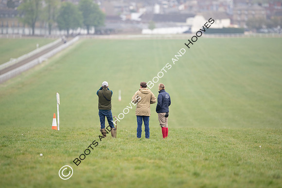 Newmarket Gallops