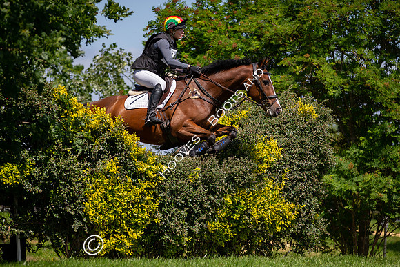 The Childeric Saddles Little Downham (1)