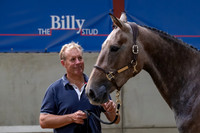 The Billy Stud Auction