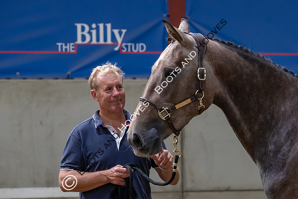 The Billy Stud Auction