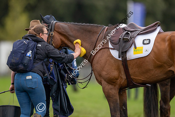 Badminton Horse Trials presented by Mars Equestrian