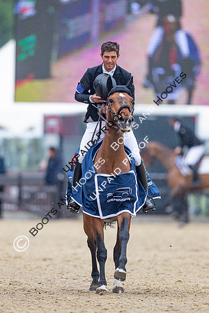 The Royal Windsor Horse Show
