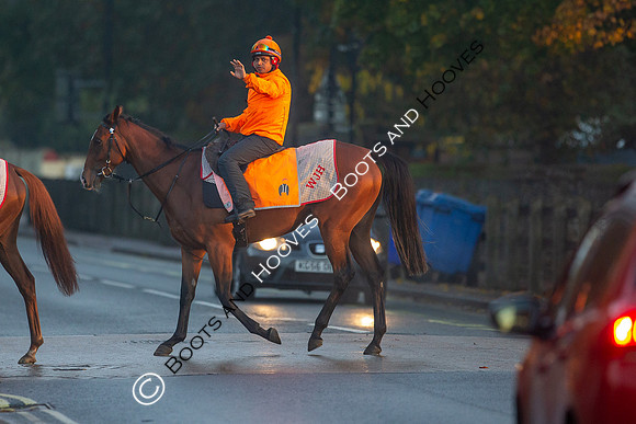 Newmarket