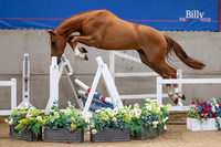 The Billy Stud Auction