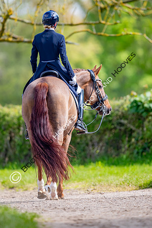 I.C.E. HORSEBOXES ALL ENGLAND DRESSAGE FESTIVAL 2023
