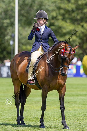 The Agria Royal International Horse Show