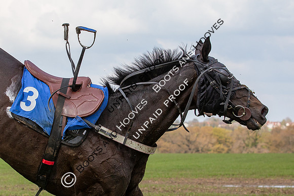 High Easter Point to Point