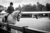 The Royal Windsor Horse Show