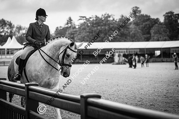 The Royal Windsor Horse Show