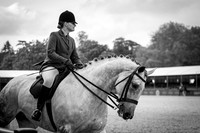 The Royal Windsor Horse Show