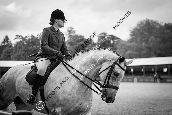 The Royal Windsor Horse Show