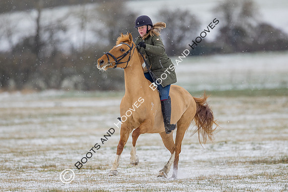 Snow Day