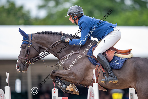 The Royal Windsor Horse Show
