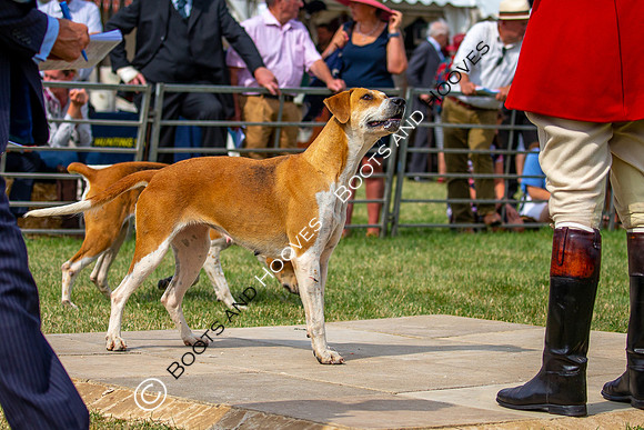 Festival of Hunting