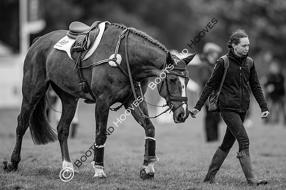 Badminton Horse Trials presented by Mars Equestrian