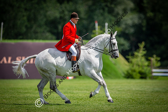 The AGRIA Royal International Horse Show