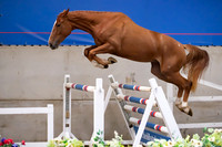 The Billy Stud Auction