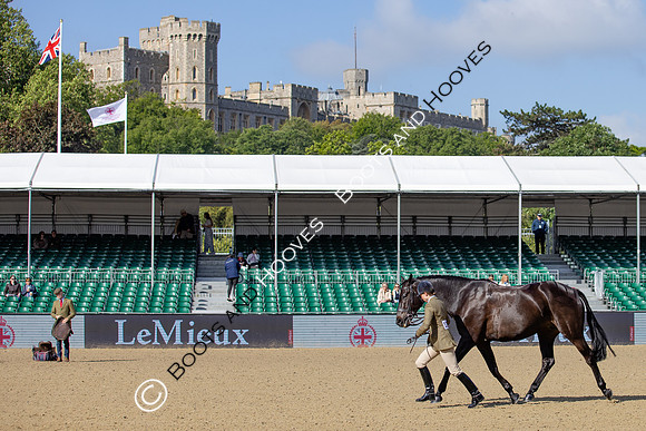 Royal Windsor Horse Show