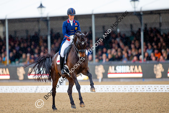 Royal Windsor Horse Show