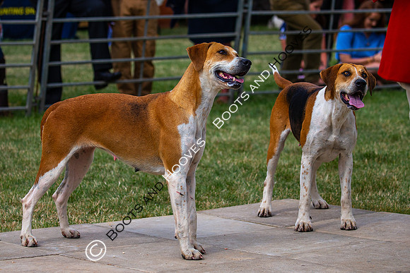 Festival of Hunting